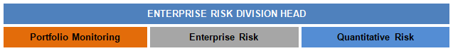 Enterprise Risk Management Enterprise Risk Division Head