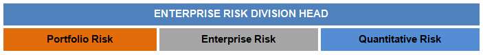 Enterprise Risk Management Enterprise Risk Division Head