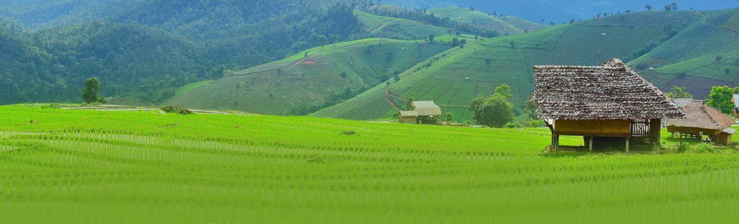 Financial-inclusion---desktop-V3