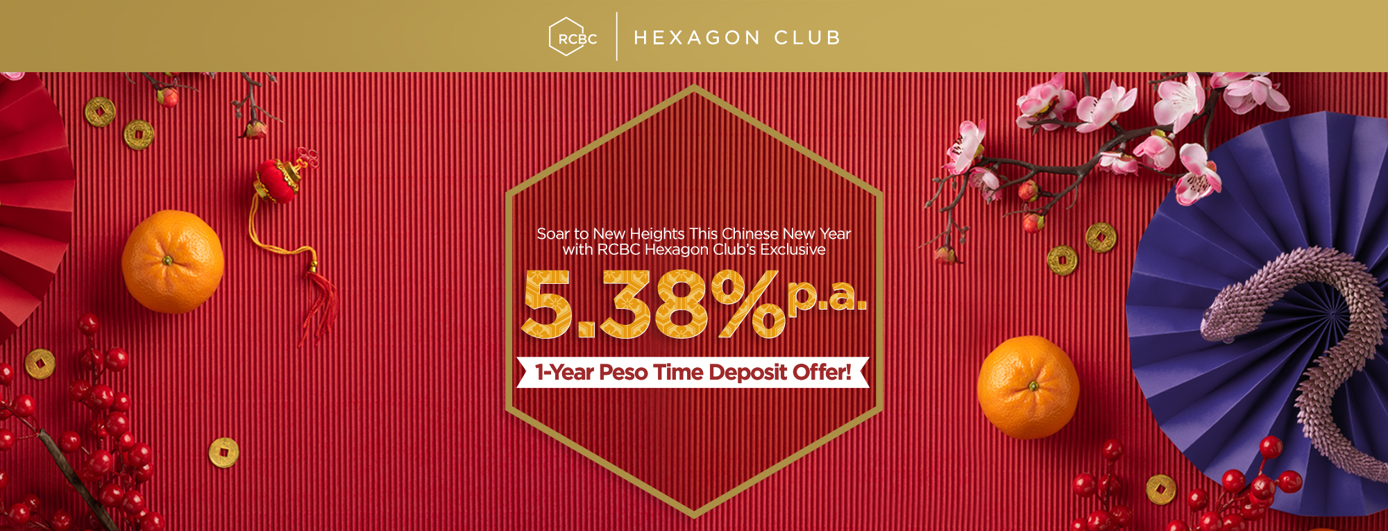 HEXCNYTDwebpagebannerweb