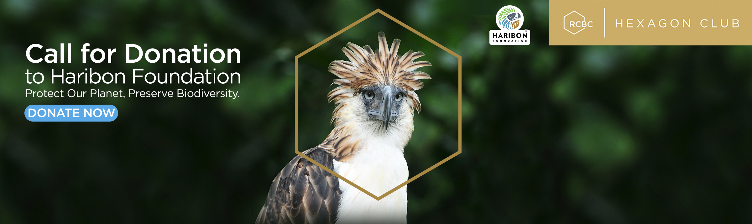 HEXHARIBONWEBBANNER-1