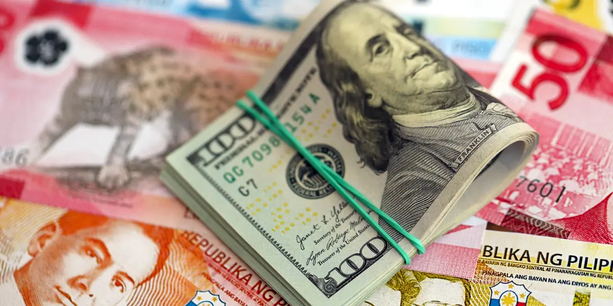 Should Your Portfolio Include Foreign Currency Investments?
